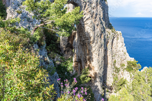 Italy, Capri, panorama and details of the Natural Arch