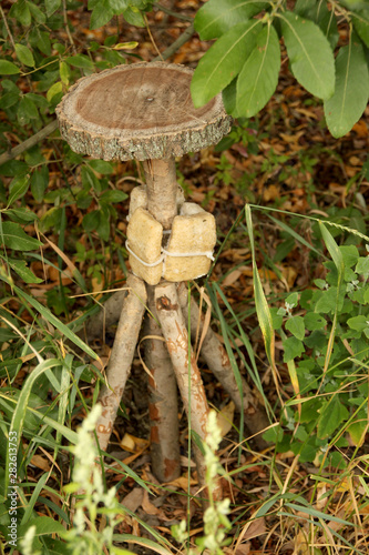 a wooden fisherman's chair in the grass