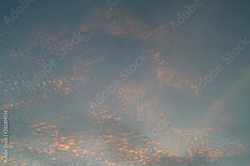 夏、うき雲