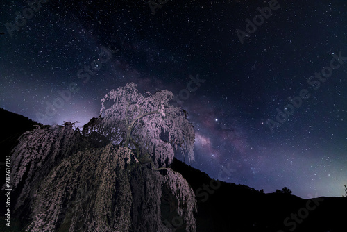 night sakura and galaxy photo