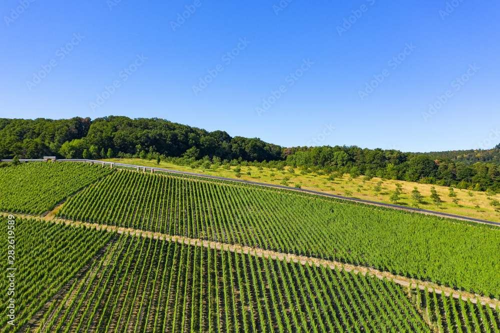 Blick von oben auf die Weinberge nahe Hattenheim/Deutschland im Rheingau