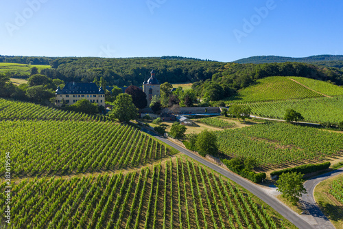 Blick von oben auf die Weinberge rund um Schloss Vollrads nahe Oestrich-Winkel/Deutschland im Rheingau