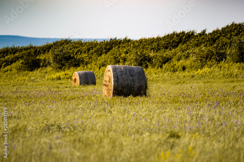 Hay bale on the meadow with blue sky and hills. Farming landscape