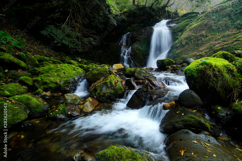 waterfall in forest