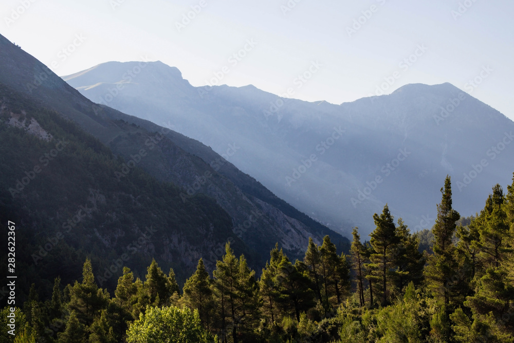 Beautiful mountain landscapes with sunny green forest, Albania       Albania