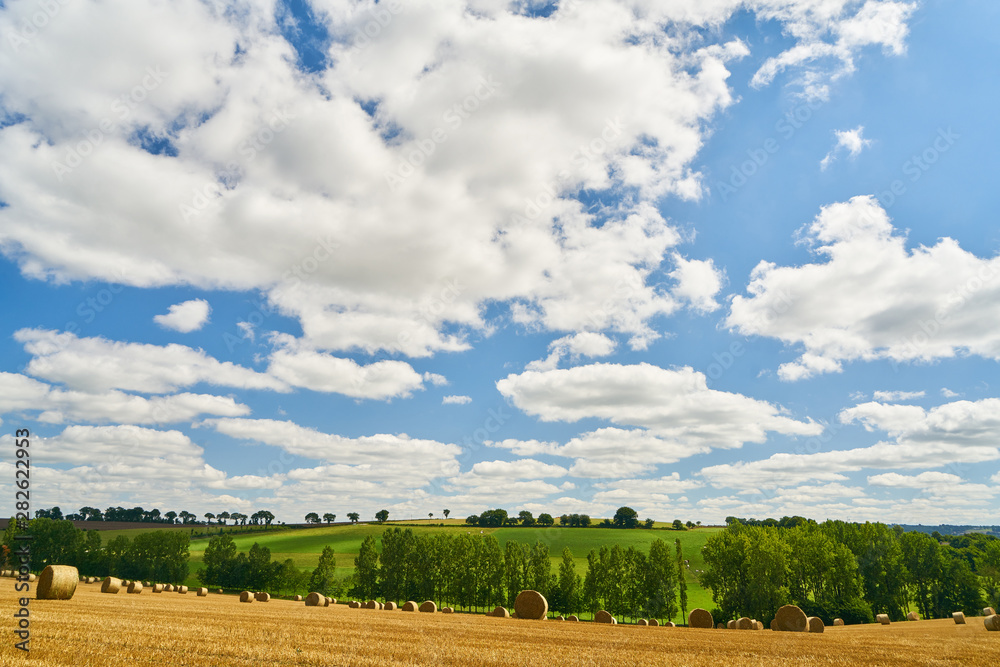 Landschaft Hintergrund mit Getreidefeld und Himmel