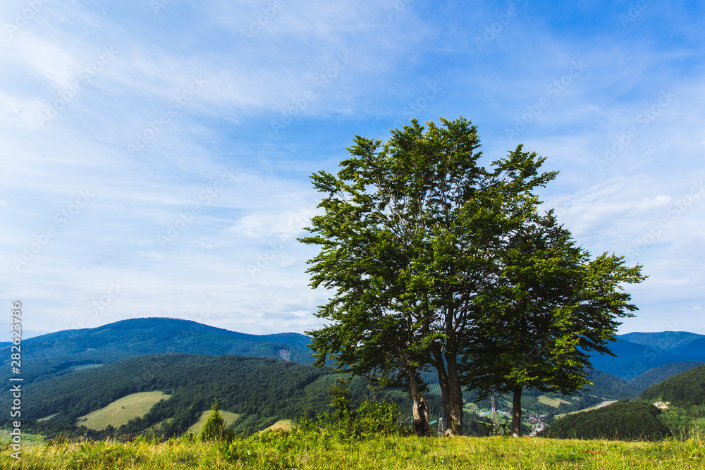 Summer mountain landscape Carpathians Summer mountain landscape Carpathians