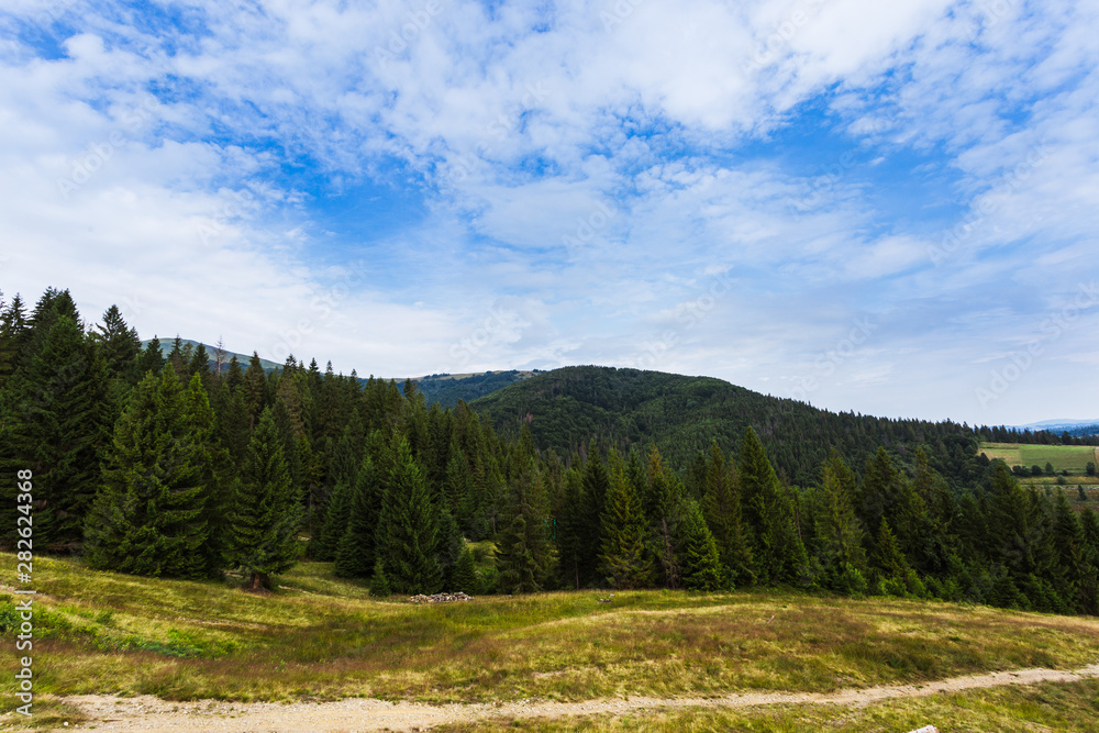 Summer mountain landscape Carpathians