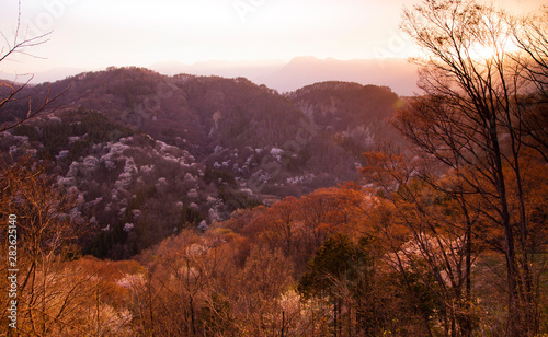 sunset in sakura mountains