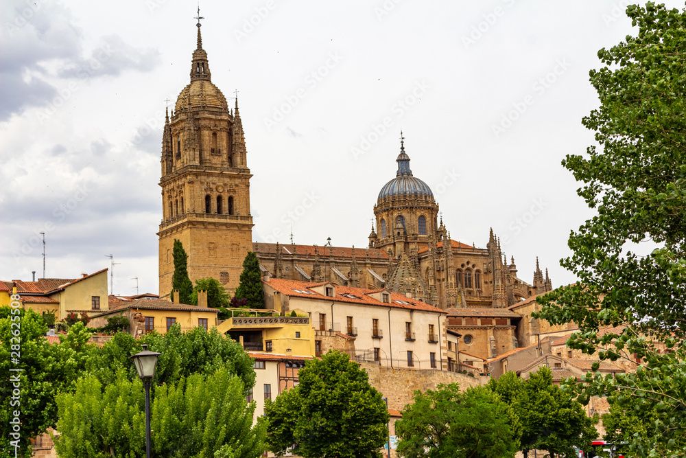 Obraz premium View of the Cathedrals of Salamanca