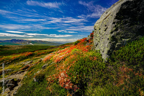 wide view of autumn mountains