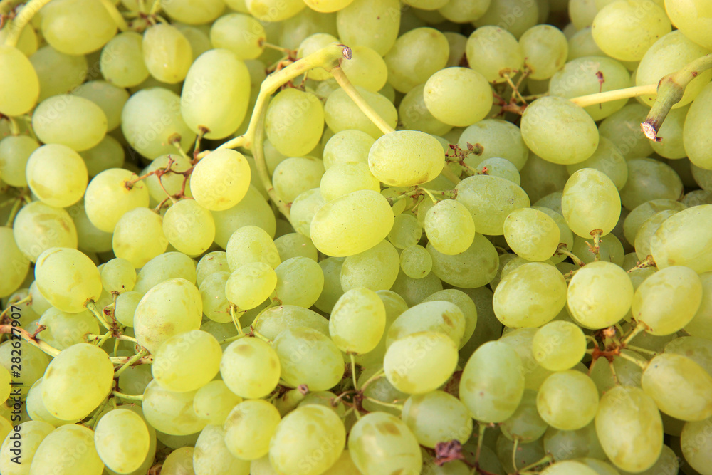 ripe grapes on farmer's market ripe grapes on farmer's market