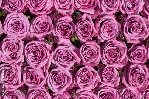 Flowers background. Pink roses bouquet, top view. Greeting card.