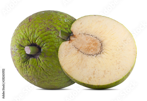 breadfruit isolated cut out on white background photo