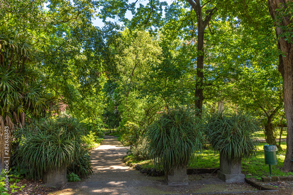 Italy, Naples, botanical garden, floral landscape with trees and plants