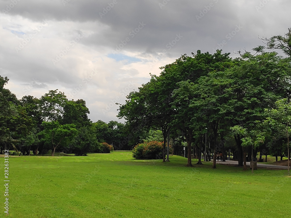 The view in the railway park in the city is full of nature.