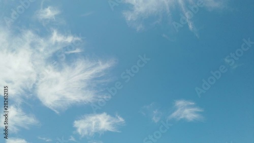 The best cirrus clouds in timelapse with wonderful blue summer sky and soft white plumages fly on the air until clear blue sky for perfect copy space photo