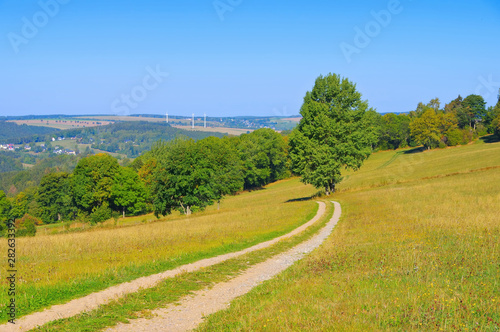 Fototapeta Naklejka Na Ścianę i Meble -  Wiese im Erzgebirge - summer meadow in the Erzgebirge