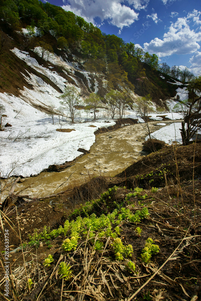 early spring river in mountains early spring river in mountains