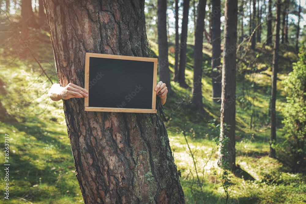hands holding blank blackboard around the pine tree in the forest