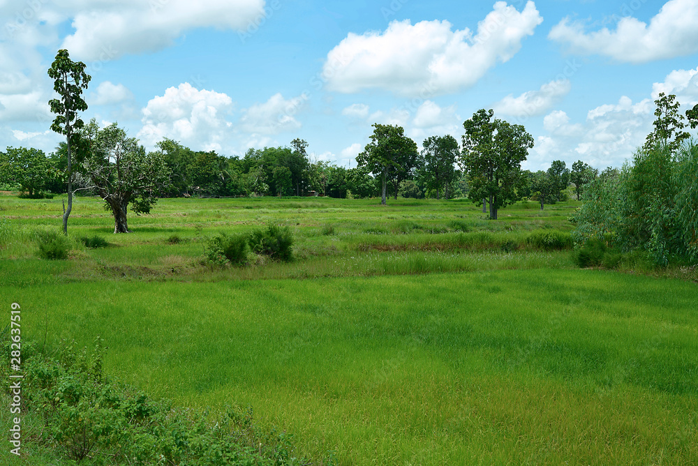 Reisfelder und Landwirtschaft in Südostasien Reisfelder und Landwirtschaft in Südostasien