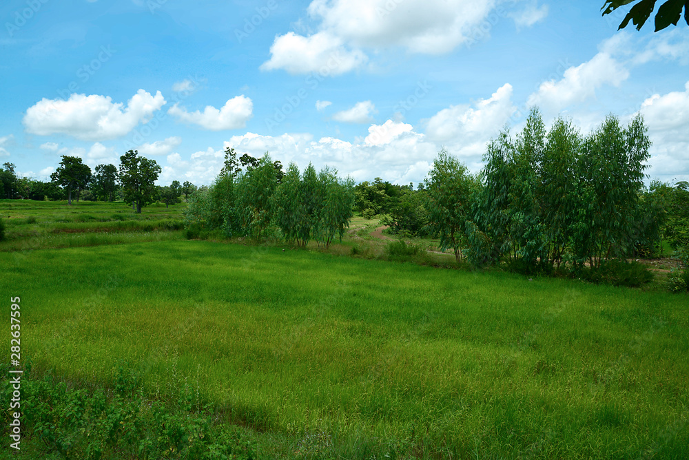 Reisfelder und Landwirtschaft in Südostasien