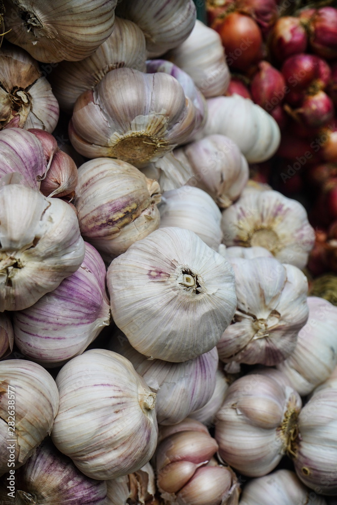 White garlic pile texture. Fresh garlic on market table closeup photo. Vitamin healthy food spice image. Spicy cooking ingredient picture. Pile of white garlic heads. White garlic head heap top view White garlic pile texture. Fresh garlic on market table closeup photo. Vitamin healthy food spice image. Spicy cooking ingredient picture. Pile of white garlic heads. White garlic head heap top view
