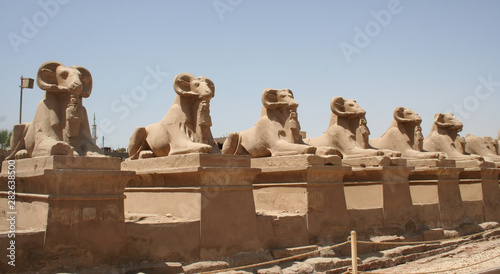 Ram statues at entrance of temple Karnak , old egypt