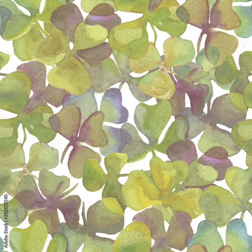 Watercolor clover leaves pattern on white background. Hand drawn watercolor illustration. Design for covers, packaging, textile and wallpepers, raster. photo