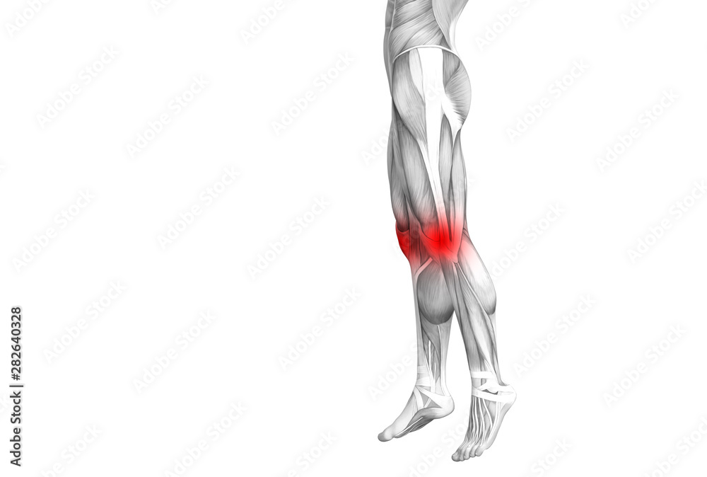 Obraz premium Conceptual knee human anatomy with red hot spot inflammation or articular joint pain for leg health care therapy or sport muscle concepts. 3D illustration man arthritis or bone osteoporosis disease