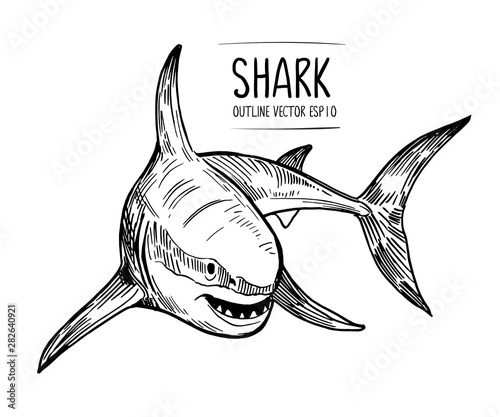 Sketch of shark. Hand drawn illustration converted to vector. Outline with transparent background