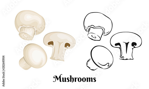 Mushrooms vector illustration. Champignon isolated on a white background. Color and black and white image of food in a cartoon simple flat style.