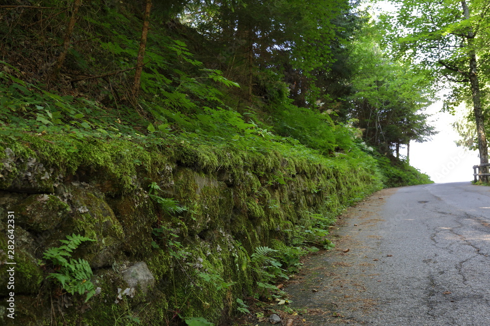 Rocky walls in the Alps of Trentino Alto Adige, in northern Italy