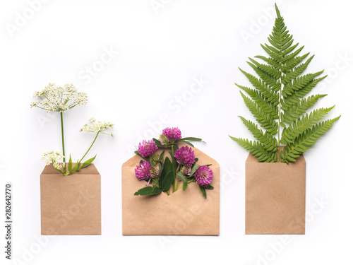 Minimalistic composition with herbs and flowers in craft paper envelopes on white background