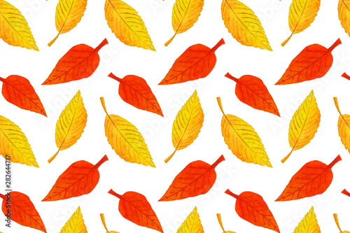 Autumn seamless pattern with colorful leaves. Fall backdrop of yellow  red and green foliage on white background. Hand drawn watercolor illustration. Fabric and textile print template