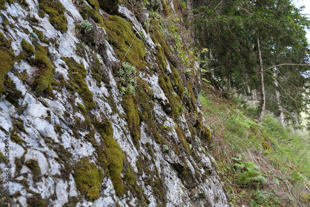 Rocky walls in the Alps of Trentino Alto Adige, in northern Italy Rocky walls in the Alps of Trentino Alto Adige, in northern Italy