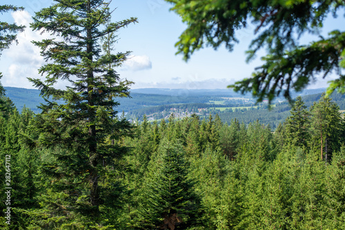 view on lipno from far in trees