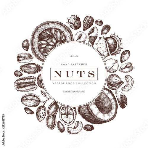 Vector nuts wreath design. Hand drawn pecan, macadamia, pine nuts, walnut, almond, pistachio, chestnut, peanut, brazil nut, hazelnut, coconut and cashew. Healthy food background. 