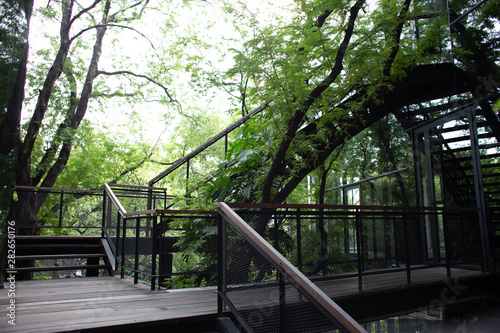 bridge in the park