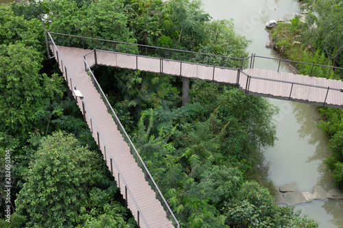 bridge in the forest