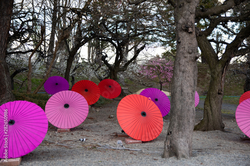 Japanese umbrella.