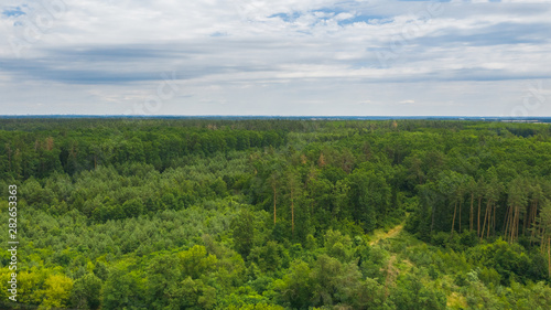 Aerial view of forest in spring or summer day. Natural green foliage background. Drone photo of wild nature. © shootik