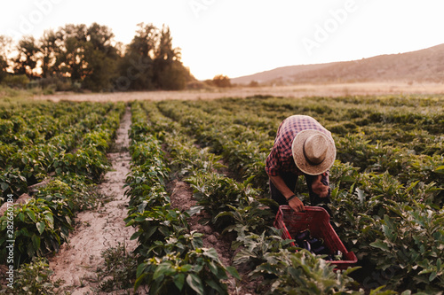 Young farmer man with hat working in his field