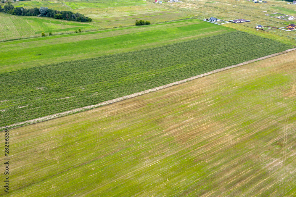 farm field, view from above