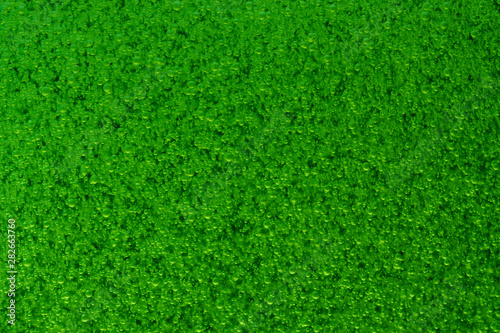 Closeup bubbles in oil do In Green full color