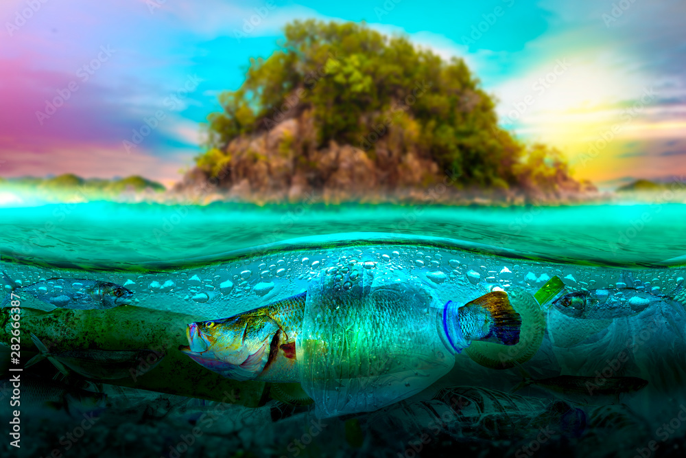 Plastic pollution in marine environmental problems Animals in the sea