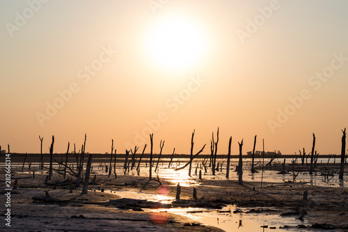 puesta de sol en la costa de la laguna. Cordoba, Argentina. photo