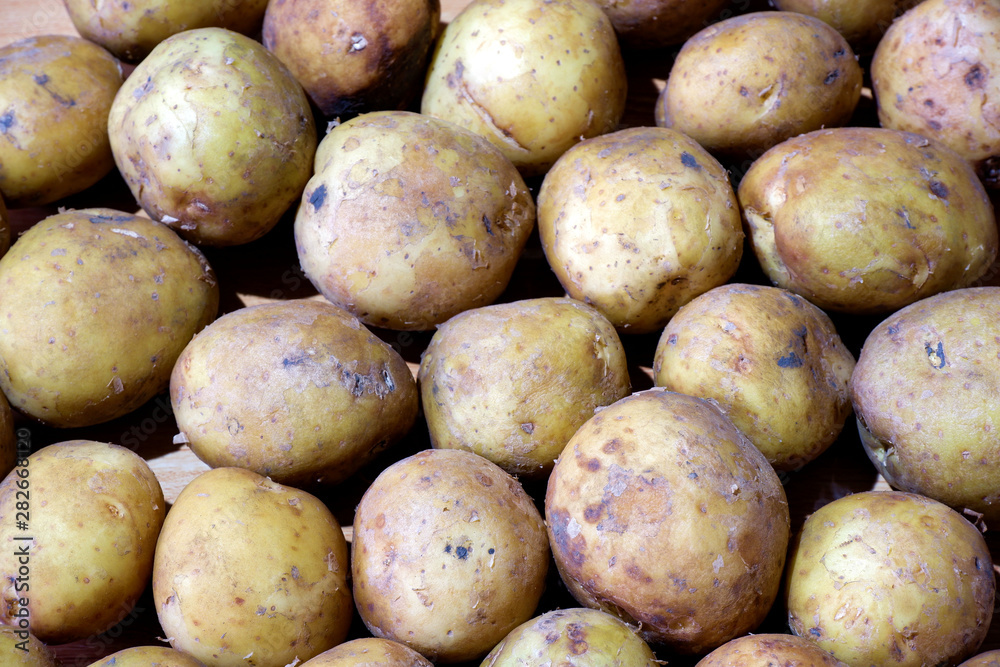 Organic potato background. Heap of potatos. Close-up potatos texture. Organic potato background. Heap of potatos. Close-up potatos texture.