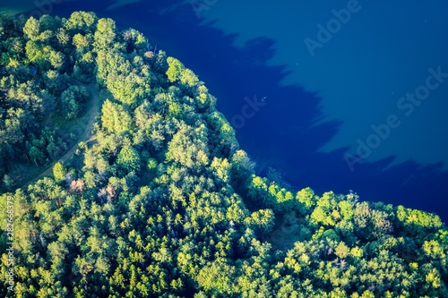 green forest from the sky
