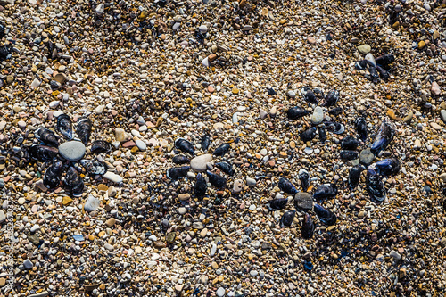 Ornaments Made Of Stones And Mussels photo